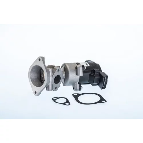 EGR ventil BTS Turbo A100073BL