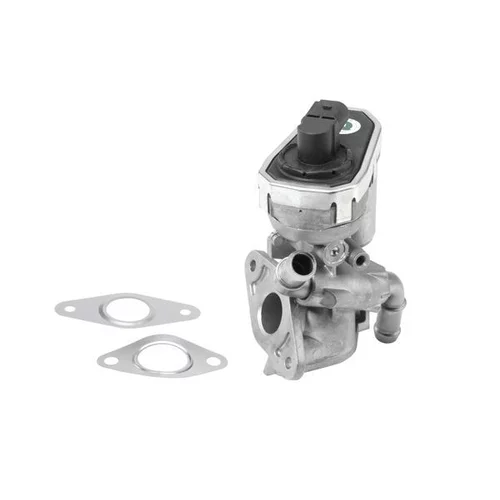 EGR ventil BTS Turbo A100048BL