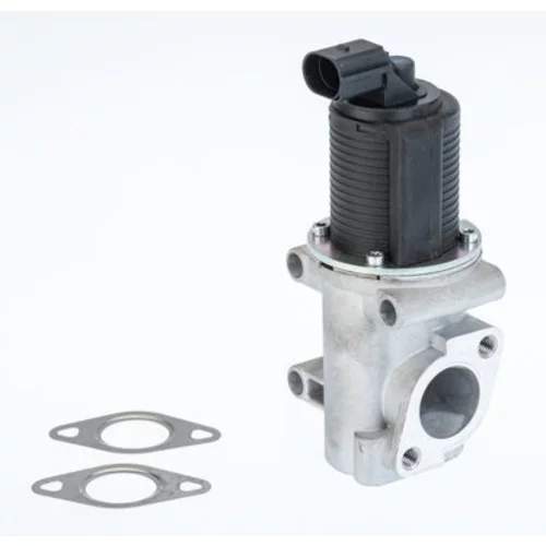 EGR ventil BTS Turbo A100058