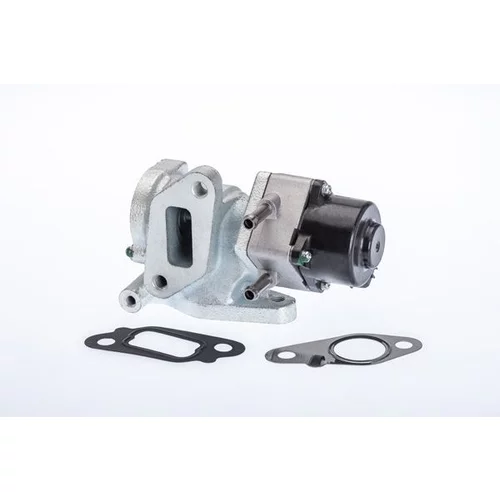 EGR ventil BTS Turbo A100066BL