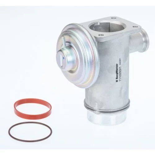 EGR ventil BTS Turbo A100082