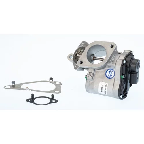 EGR ventil BTS Turbo A100012BL