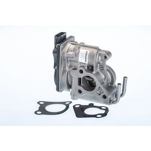 EGR ventil BTS Turbo A100064BL