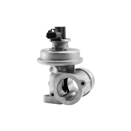 EGR ventil BTS Turbo A100016BL