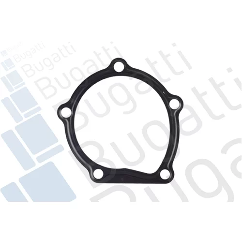 Vodné čerpadlo, chladenie motora PA10167 /BUGATTI/ - obr. 1