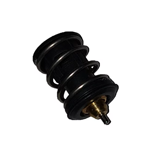 Termostat chladenia BUGIAD BSP25071