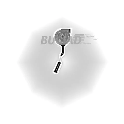 Hadica plniaceho vzduchu 88800 /BUGIAD/ - obr. 1