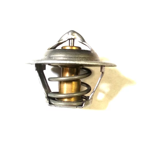 Termostat chladenia BUGIAD BSP24724