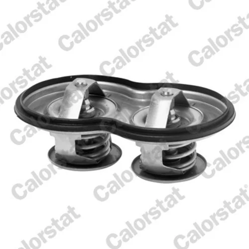 Termostat chladenia CALORSTAT by Vernet TH7117.80J