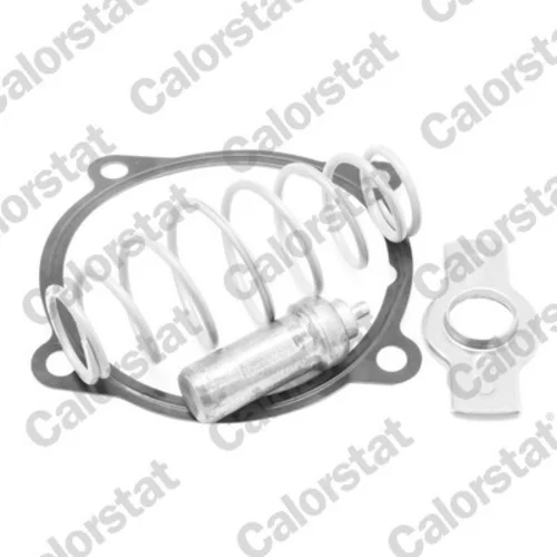 Termostat chladenia CALORSTAT by Vernet TH7313.79J