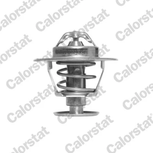 Termostat chladenia TH6063.82J (CALORSTAT by Vernet)