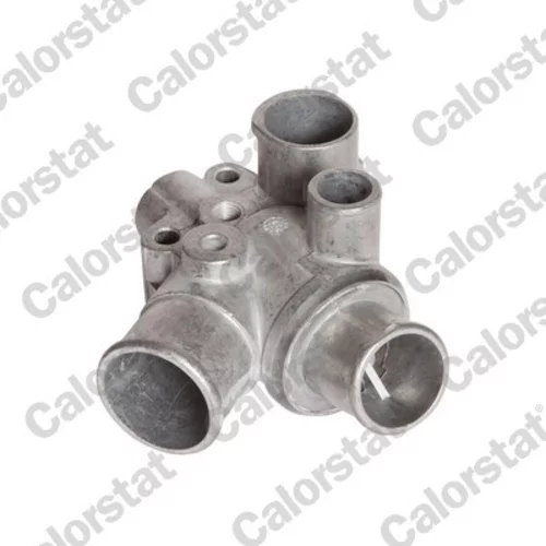 Termostat chladenia TH6255.80J (CALORSTAT by Vernet)