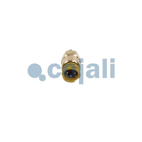 Senzor tlaku paliva 2260987 /COJALI/ - obr. 1