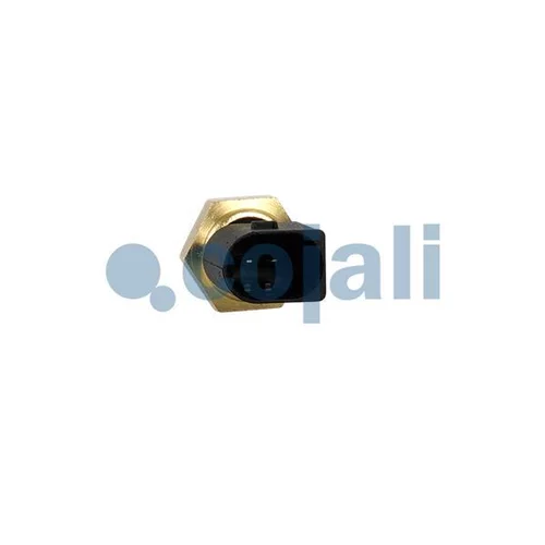 Senzor teploty paliva 2260948 /COJALI/ - obr. 2
