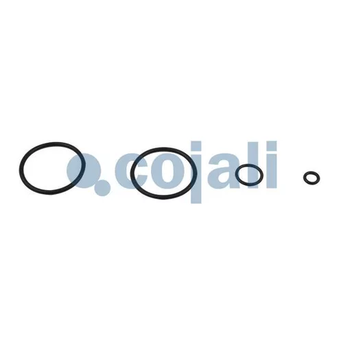 Opravná sada ventilu ručnej brzdy 6012157 /COJALI/ - obr. 2