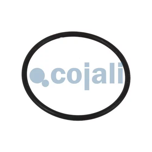Opravná sada brzdového strmeňa 6084033 /COJALI/ - obr. 2