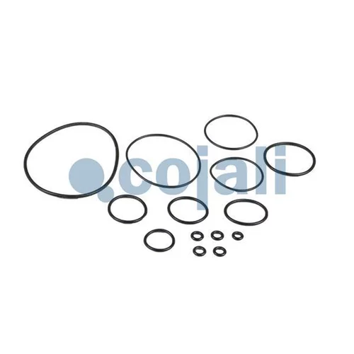 Opravná sada regulátora brzdovej sily 6012245 /COJALI/ - obr. 2