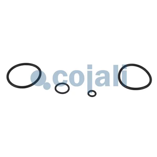 Opravná sada ventilu ručnej brzdy 6012010 /COJALI/ - obr. 2