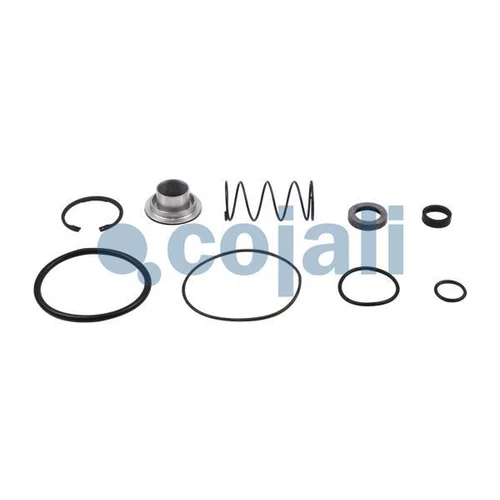 Sada na opravu reléového ventilu 6012156 /COJALI/