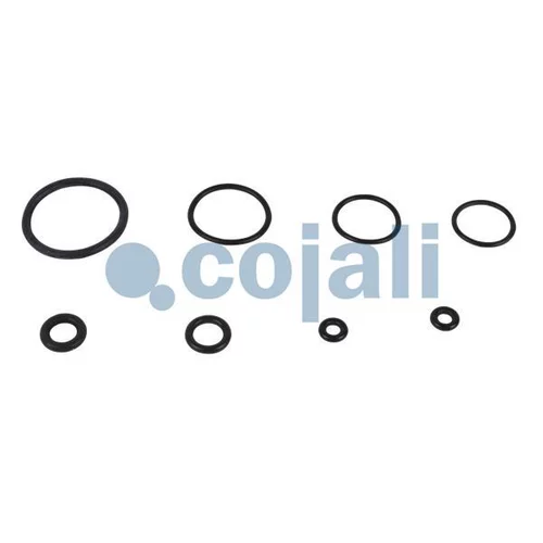 Sada na opravu spojkového posilňovača 6034022 /COJALI/ - obr. 2