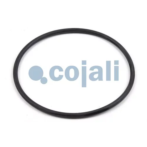 Opravná sada pracovného valca 6012014 /COJALI/ - obr. 2