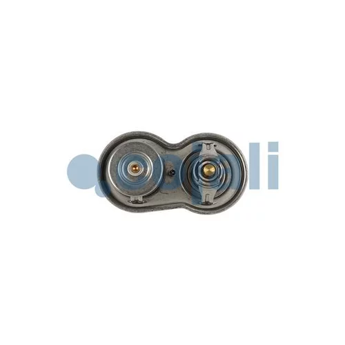 Termostat chladenia 2880279 /COJALI/ - obr. 2