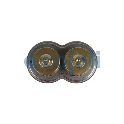 Termostat chladenia COJALI 2880278