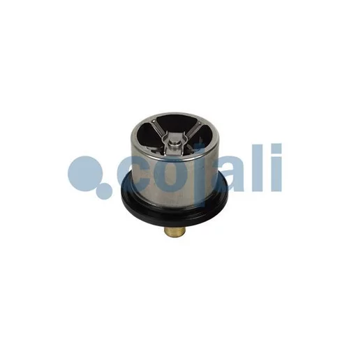 Termostat chladenia COJALI 2880275