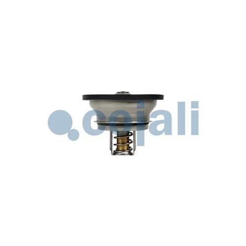 Termostat chladenia 2880274 /COJALI/ - obr. 2