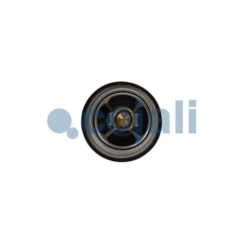 Termostat chladenia 2880274 /COJALI/ - obr. 3