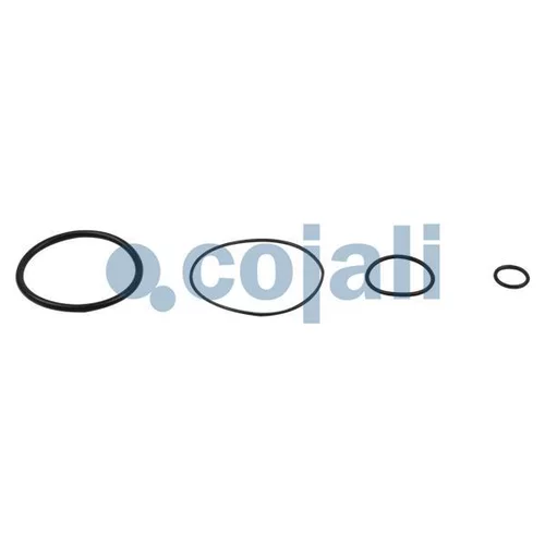Sada na opravu reléového ventilu 6012156 /COJALI/ - obr. 2