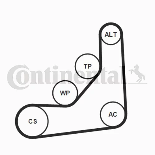 Ozubený klinový remeň - Sada 6PK1165K1 (CONTINENTAL - CONTITECH) - obr. 1