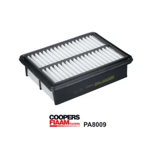 Vzduchový filter PA8009 /CoopersFiaam/ - obr. 1