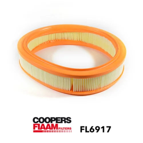 Vzduchový filter CoopersFiaam FL6917