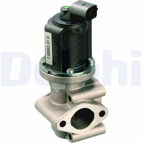 EGR ventil EG10259-12B1 /DELPHI/ - obr. 1