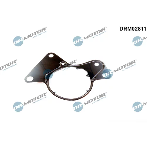 Tesnenie, Palivové čerpadlo Dr.Motor Automotive DRM02811