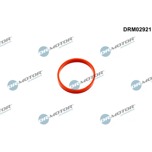 Tesniaci krúžok hadice plniaceho vzduchu Dr.Motor Automotive DRM02921