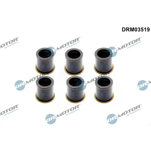 Tesnenie držiaka vstrekovacej trysky Dr.Motor Automotive DRM03519