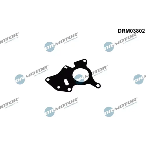 Tesnenie, Palivové čerpadlo Dr.Motor Automotive DRM03802