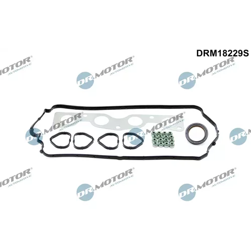 Sada tesnení, Hlava valcov Dr.Motor Automotive DRM18229S