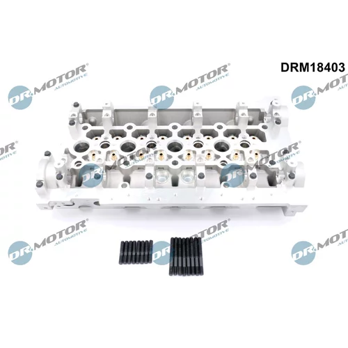 Hlava valcov motora Dr.Motor Automotive DRM18403