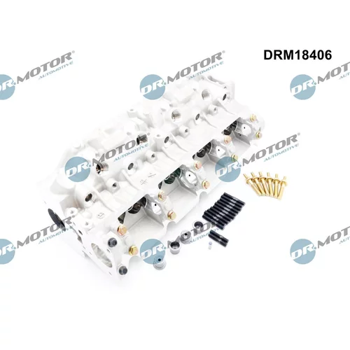 Hlava valcov motora DRM18406 (Dr.Motor Automotive) - obr. 2