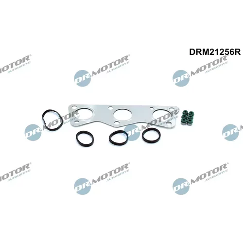 Sada tesnení, Hlava valcov Dr.Motor Automotive DRM21256R
