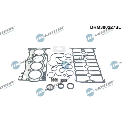 Sada tesnení, Hlava valcov Dr.Motor Automotive DRM300227SL