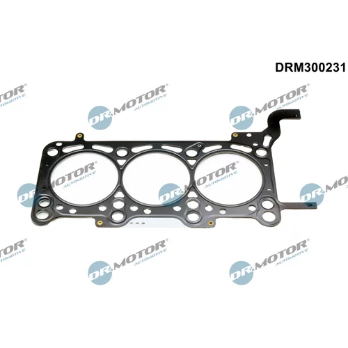 Tesnenie hlavy valcov Dr.Motor Automotive DRM300231