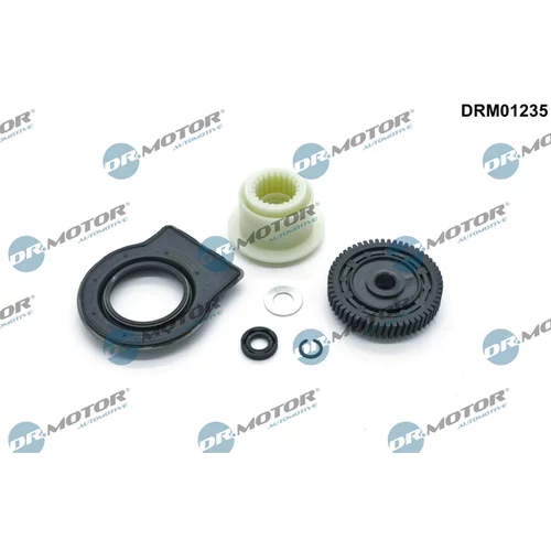 Súprava na opravu, výstupný hriadeľ prevodovky (ASG) Dr.Motor Automotive DRM01235