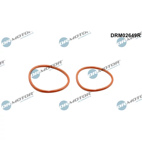 Tesniaci krúžok hadice plniaceho vzduchu Dr.Motor Automotive DRM02649R