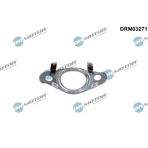 Tesnenie, Vedenie EGR ventilu Dr.Motor Automotive DRM03271