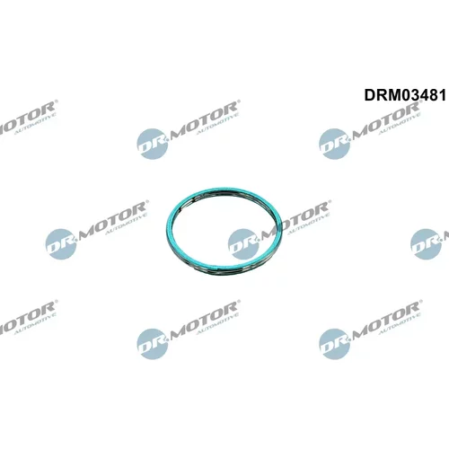 Tesnenie výfukovej trubky Dr.Motor Automotive DRM03481