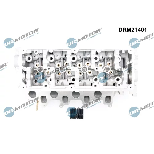 Hlava valcov motora DRM21401 (Dr.Motor Automotive) - obr. 1
